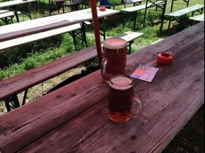 照片: Wies'n Biergarten